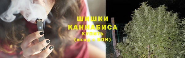 мяу мяу мука Аркадак