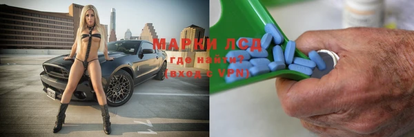 мяу мяу мука Аркадак