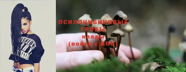 мяу мяу мука Аркадак
