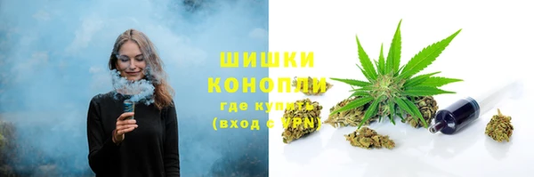 прущая мука Арсеньев