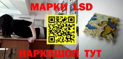ешки Можга