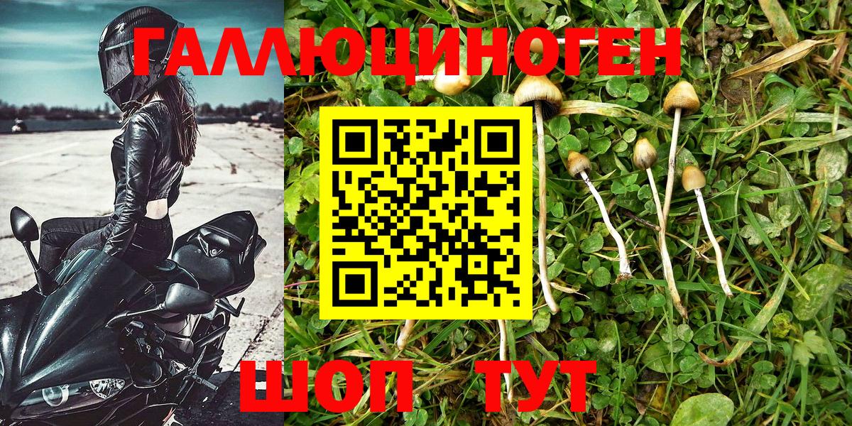 Галлюциногенные грибы Magic Shrooms  купить  сайты  Всеволожск  Галлюциногенные грибы MAGIC MUSHROOMS  Вход с VPN 